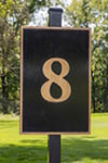eight