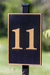 eleven