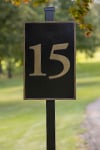 fifteen