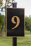 nine