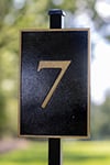 seven