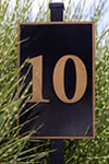 ten