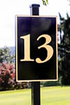 thirteen