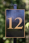twelve